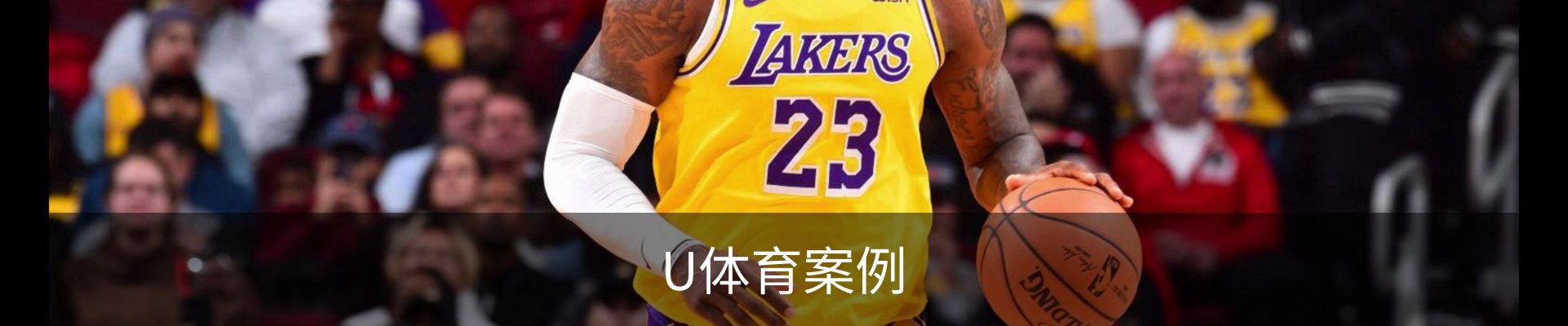 U体育案例